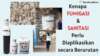 Kombinasi Fumigasi dan Sanitasi perlu diaplikasikan untuk membasmi kutu beras jagung kopi dll