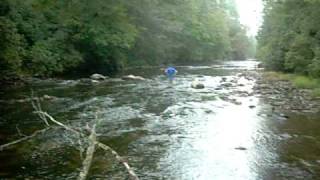 Chattooga River @ Burrell's Ford Campground