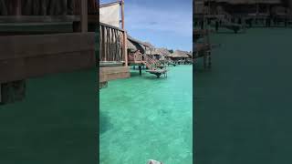 Bora Bora bungalows #borabora #bungalows