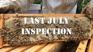 Last July Inspection | #colesfarmnc #jacksonvillenc #beekeeping