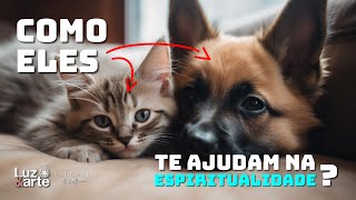 Como Cachorros e Gatos te ajudam na Espiritualidade? @luzearte