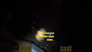 KEJADIAN HOROR SAAT MANCING BELUT TENGAH MALAM