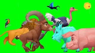 green screen animals || stampede green screen || green screen cartoons ||  running green screen