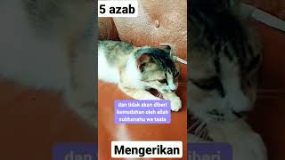 kucing putih oren.sound ancaman yg gak bayar hutang.