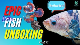 The VIDEO You've Been WAITING For!! REMARKABLE Betta Fish UNBOXING!! (Samurai, Copper And More!!) 👀😮