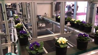 Mayer Pot Robot TR-4420 - Precise and Efficient Handling of Pots