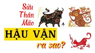 3 CON GIÁP KHỔ TRƯỚC SƯỚNG SAU| SUNG TÚC VỀ HẬU VẬN