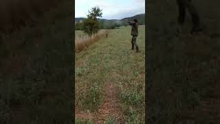 Pheasant Hunting - Caccia al fagiano