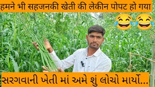 sahjan ki kheti | drumstick farming |સરગવા ની ખેતી | sahjan ki kheti me hame kya galti ki???