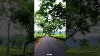 Our Beautiful Rohini Road.   #rohini #sukna #siliguri #reelsviral #youtubeshort  #youtube