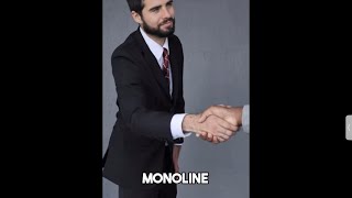 Monoline lender