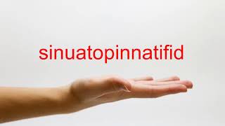 How to Pronounce sinuatopinnatifid - American English