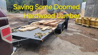 Saving Some Doomed Hardwood Lumber