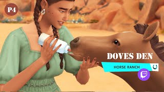 DOVE'S DEN // Twitch vod P4 - Baby Dash  (Rags to Riches)