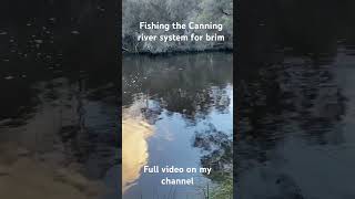 Canning river system-fishing for brim. Full video on my channel🎣🎣🎣💪💪