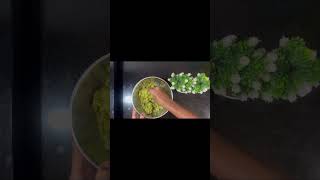 Broccoli kabab Recipe | Healthy and Nutritious Snack | Instant and Fast Recipe