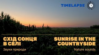 Timelapse: Світанок в селі | Sunrise in the countryside | ASMR 4k timelapse