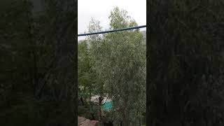 rain in my village