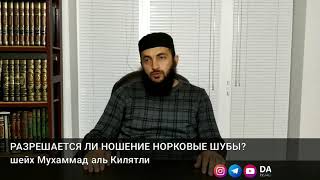 Каково положение ношения норковые шубы?