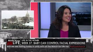 Parents Defending Education - Nicole Neily, EWTN 1-19-24