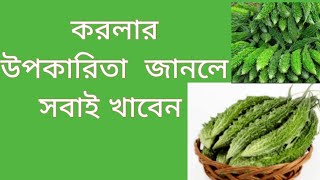 Health Benefits Of Bitter Gourd : Bangla Health Tips 💚