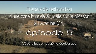 Travaux de restauration d'une zone humide alluviale à Lavérune (34) épisode 5