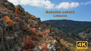 Autumn colors - Lebanon 2023 | ألوان فصل الخريف - لبنان