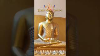 Maha bodhi society of India #shorts #reels #viral #ytshorts