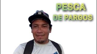 Pesca nocturna ver para creer