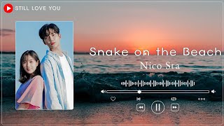 Snake on the Beach -  Nico Staf