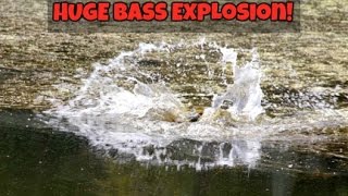 Big Topwater Bass Explosions!