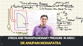 STRESS AND TRANSPULMONARY PRESSURE (TPP) IN ARDS | Dr Anupam Mohapatra