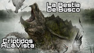 La Bestia De Busco | Tortuga GIGANTE |#Bestiario Vol. 14 | CRIPTOZOOLOGÍA | Criptidos A La Vista