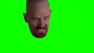 I Am The Danger Green Screen