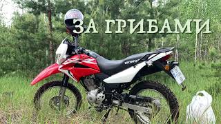 Обкатка нового мотоцикла Honda xr 150l .Или вперёд за майскими грибами!😉