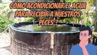 cómo preparar el agua para recibir a nuestros peces ? #virales #viralvideos #viralvideo