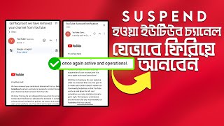 How To Recover Suspended Youtube Channel Easily - 2024