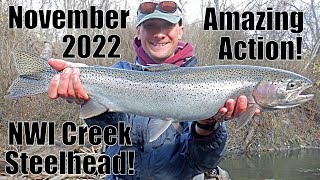 Indiana Tributary Steelhead: November Banger! 11/13/22