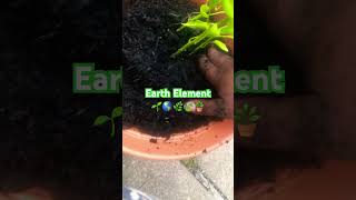 Gardening is a great opportunity to ground & connect with the Elemental Force of Earth for stability