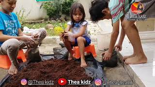 Drama Edukasi | Ayo Berkebun | Thea kidz | Belajar Cara Mencocok Tanam | #theakidz