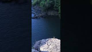 #busay #fall #water #shorts #short #shortvideo #viralvideo #viral #video