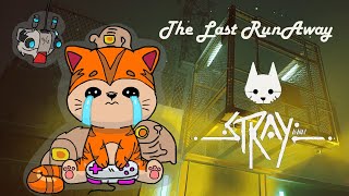 Stray / Глава "КРЫША" / Игры про котиков часть 4