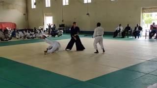 aikido demonstration, zanzibar