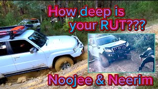 Exploring tracks around Noojee & Neerim Victoria High Country! Ford Wildtrak!Tagumpay 4x4 Adventures