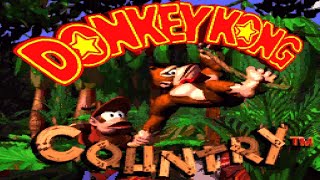 Donkey Kong Country - Complete Walkthrough