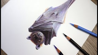 Bat Tutorial - How to draw a BAT in COLOR PENCIL!