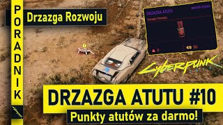 Drzazga Atutu #10 | PORADNIK | Drzazga Rozwoju | Punkty Atutów za darmo | Cyberpunk 2077