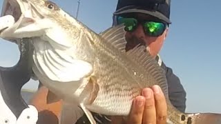 Targeting Summer Redfish - OBX / Pamlico Sound Kayak Fishing