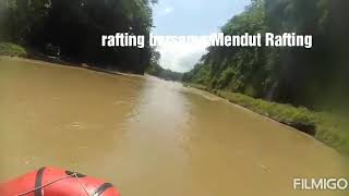 Arung jeram