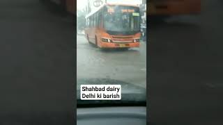 shahbad dairy